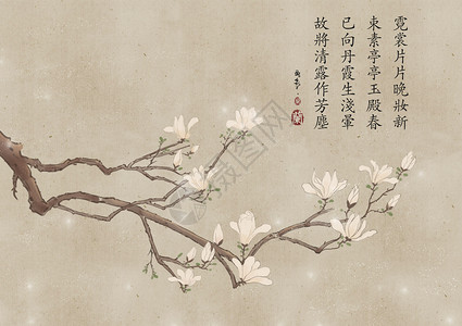 banner白色玉兰花枝插画