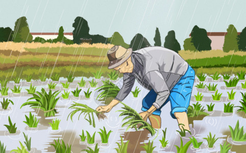玉米农民谷雨种田GIF高清图片