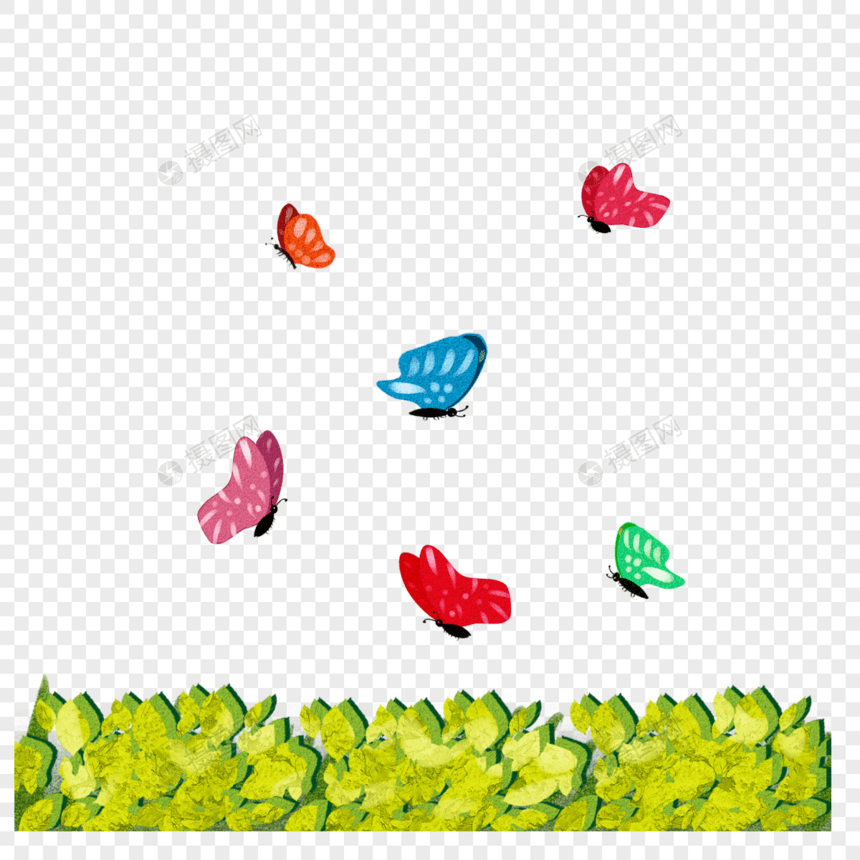 绿叶上的蝴蝶群图片