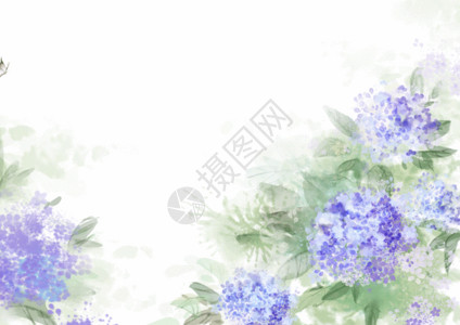 水彩春紫阳花卉高清图片