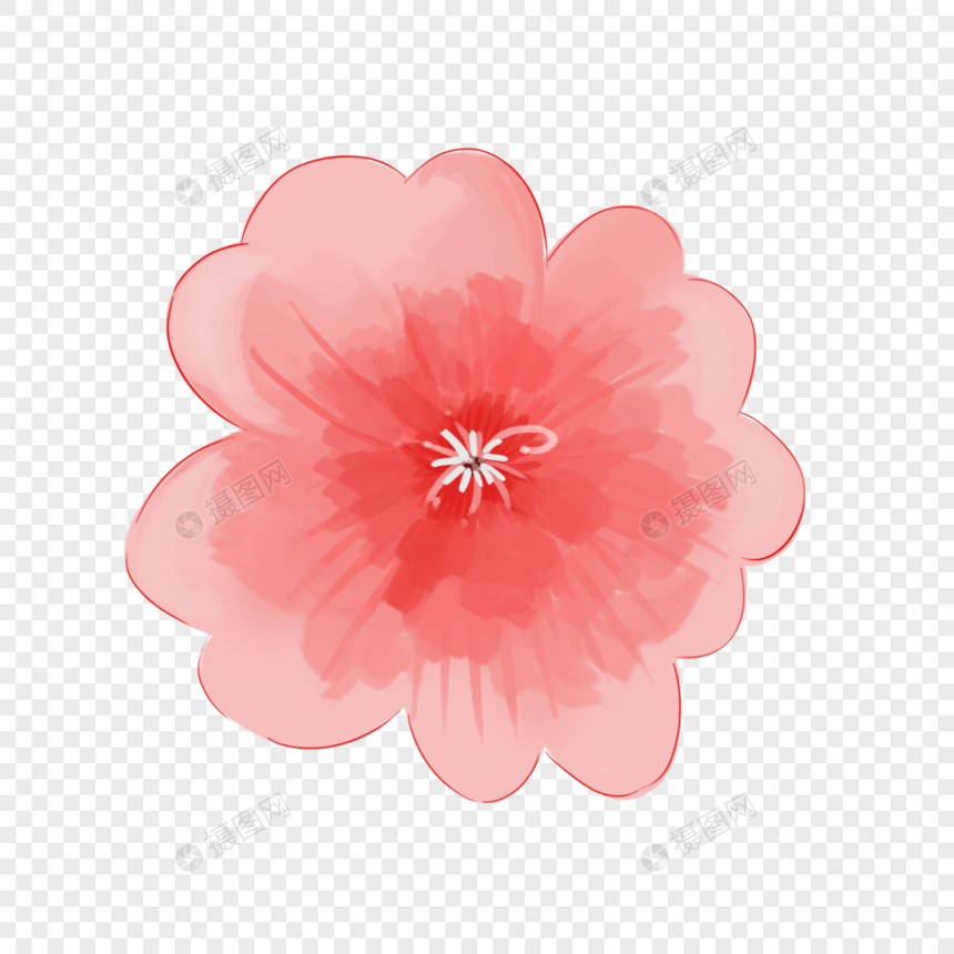 一朵樱花图片