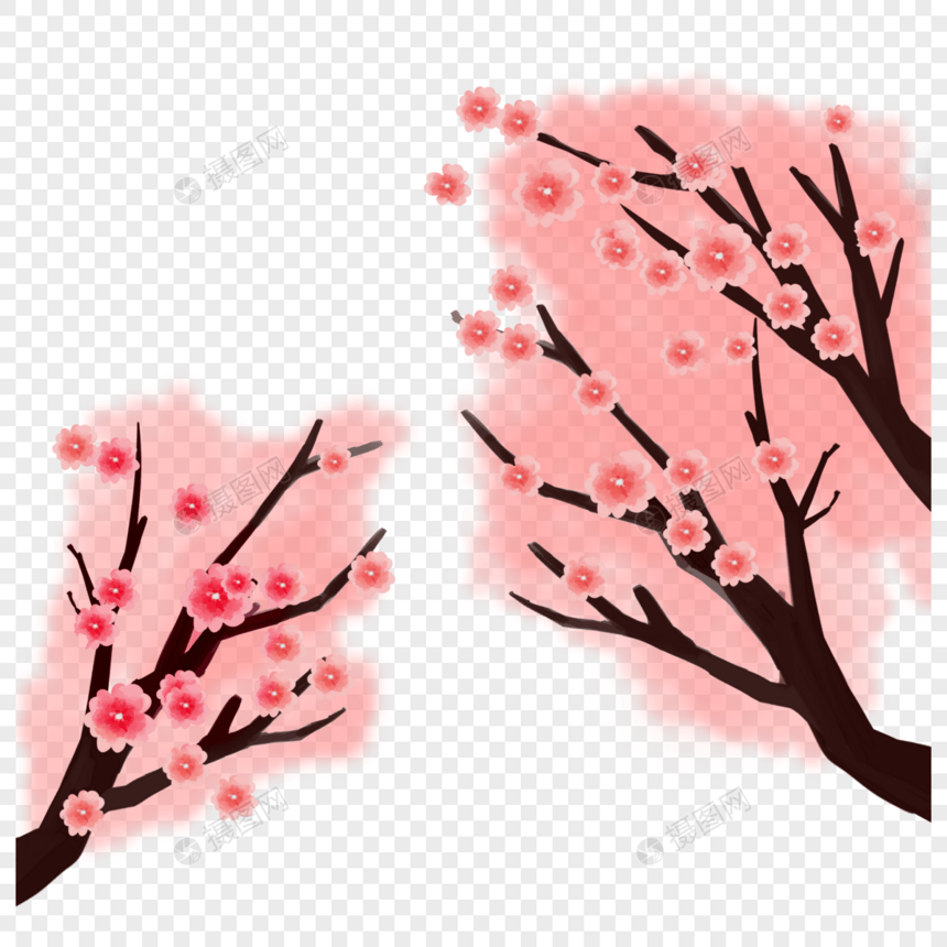 粉色樱花树枝图片