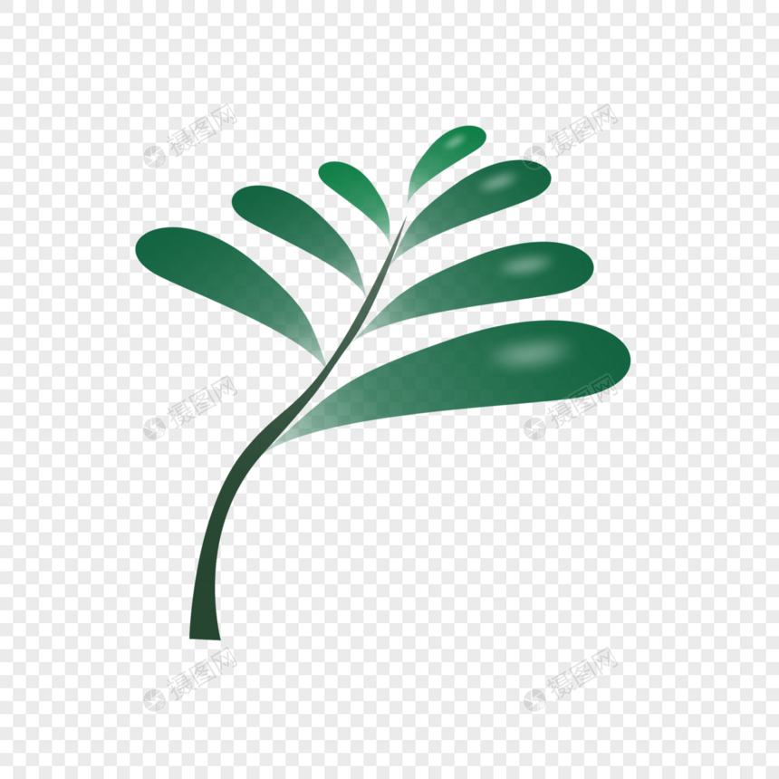绿色植物树叶装饰图片