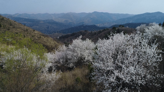 山谷别墅航拍大山GIF高清图片