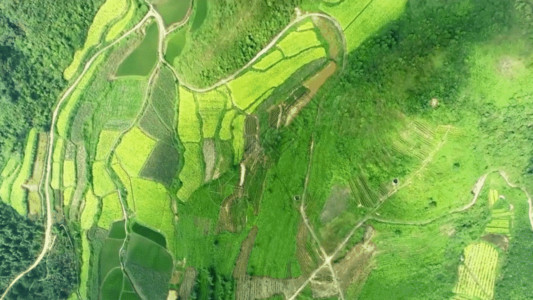 绿色大地俯拍大地景物GIF高清图片