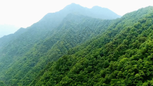 贵州大山航拍绿树林GIF高清图片
