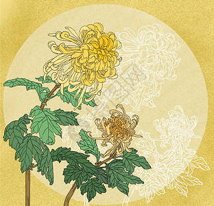 中国风国潮工笔菊花花卉图背景图片
