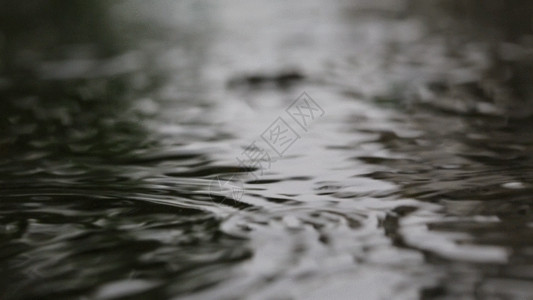 雨天GIF下雨雨天、图片素材