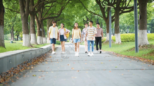 青年节青春大学生走进校园GIF高清图片