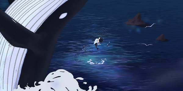 鲸背景图片