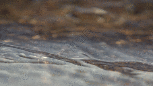 小溪平静水面GIF图片
