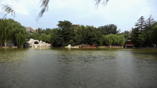 湖面景观GIF图片