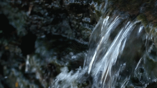 小溪河流水流实拍视频GIF图片