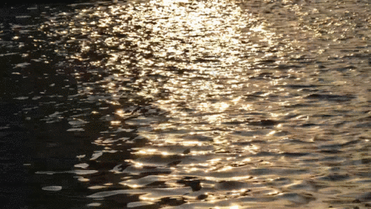湖面流水GIF图片