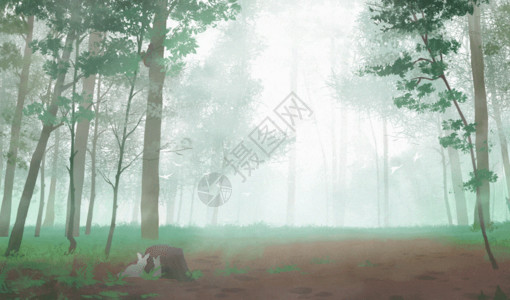 丛林漫步迷雾森林GIF高清图片