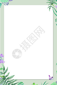 植物冷色调边框植物边框背景设计图片