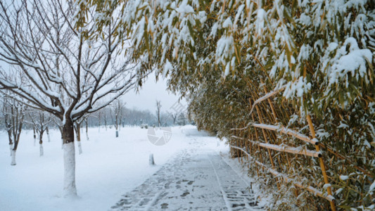 雪中公园美丽雪景GIF高清图片