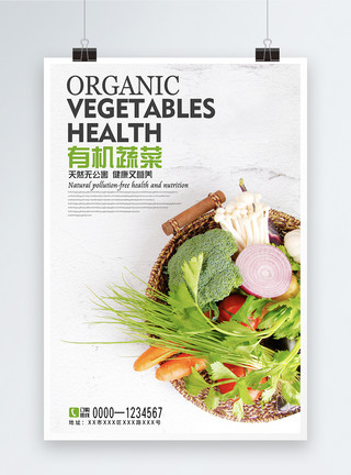 健康有机菠菜有机蔬菜海报模板
