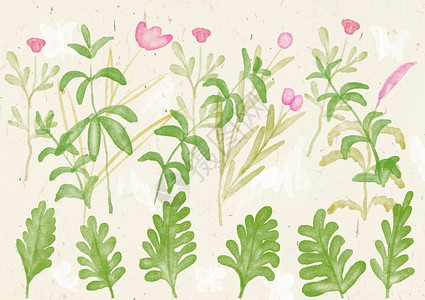 手机壳水彩植物背景背景图片