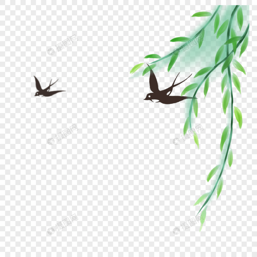 柳枝和燕子图片
