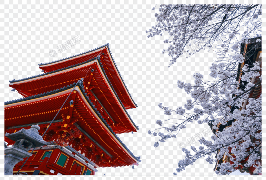京都清水寺樱花图片