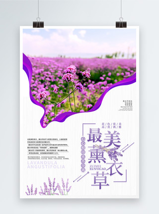 紫色浪漫花框大气简约薰衣草海报模板