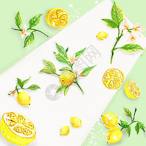 柠檬盛夏图片