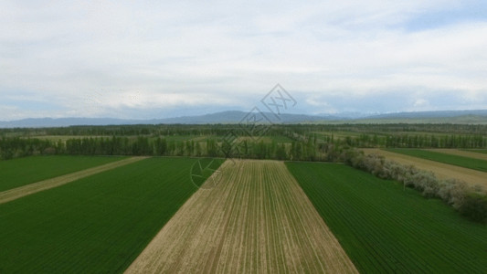 平原风景新疆航拍农业科技麦田GIF高清图片