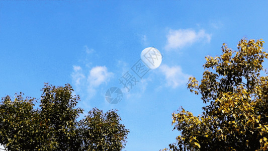 蓝色白天蓝天白云月亮延时GIF高清图片