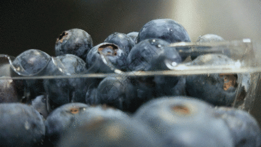 水果蓝莓GIF图片