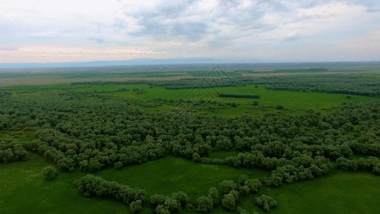 新疆那拉提草原航拍原始森林草原GIF高清图片