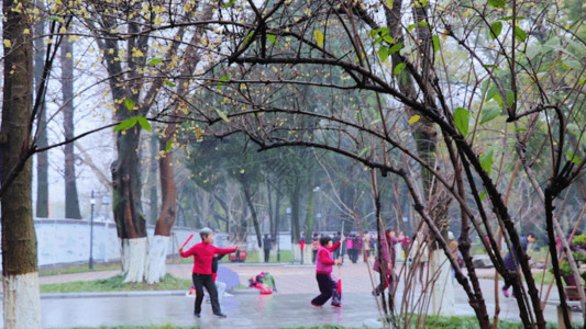 老年人太极锻炼公园健身GIF高清图片