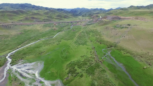 新疆伊犁那拉提杏花谷航拍新疆山野山区风景GIF高清图片