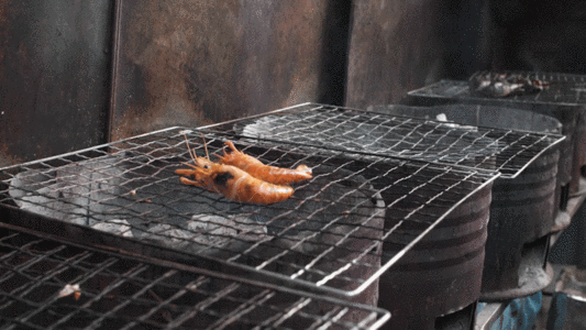 烤虾放虾慢动作实拍视频GIF图片