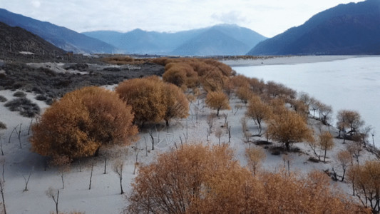 食特高清素材西藏尼洋河高清航拍原始GIF高清图片