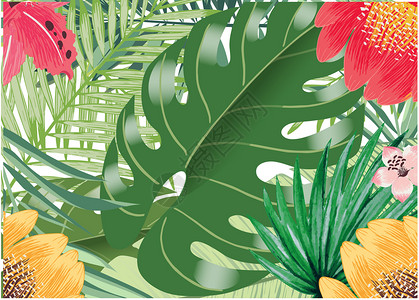 ins风插画热带花卉背景设计图片
