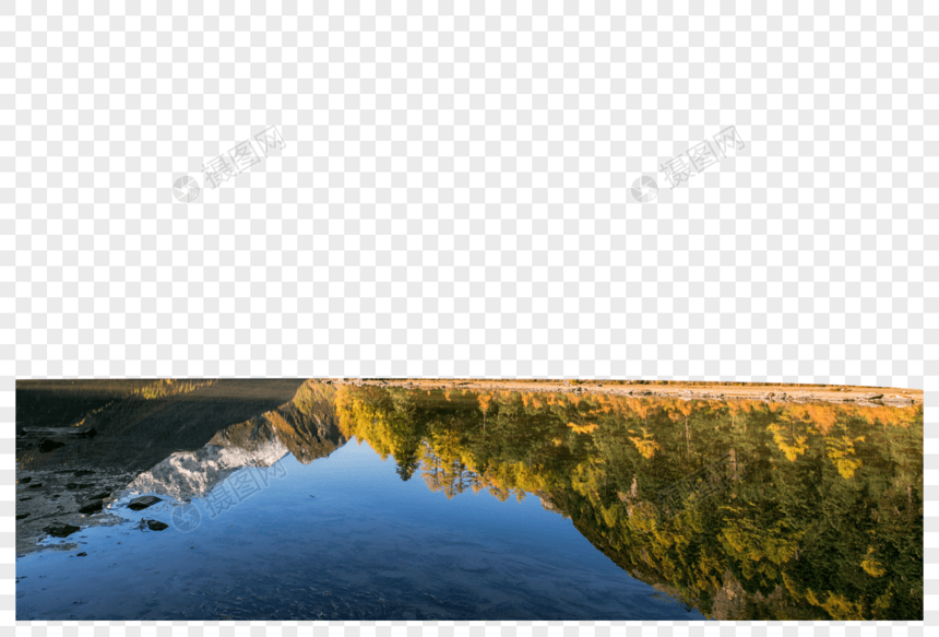莲花湖中的倒影图片