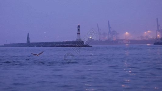 船码头夜幕平静港口海鸥飞翔GIF高清图片