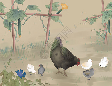 小鸡吃米图古风田园高清图片
