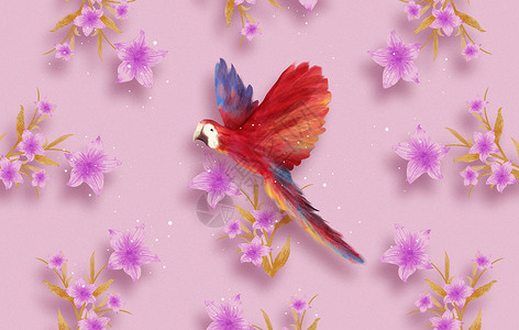 鹦鹉花卉背景插画图片