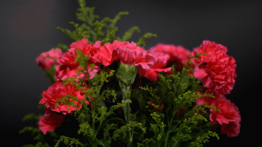 绿色花束康乃馨动态GIF高清图片