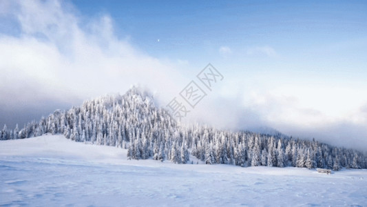 树林雪地雅拉雪山延迟摄影GIF高清图片