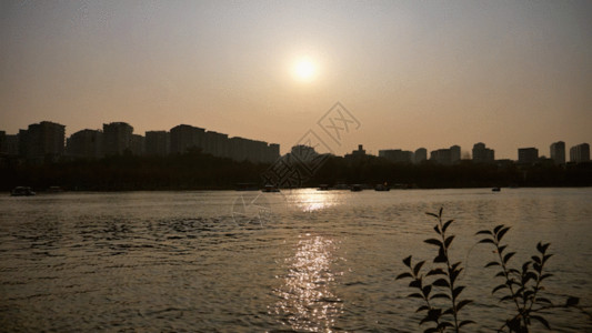 嘉兴南湖夕阳下景色GIF高清图片