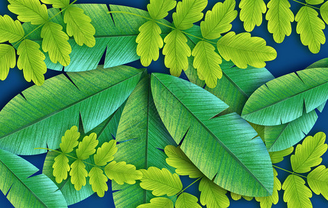 夏季小清新绿茶树叶夏季树叶设计图片