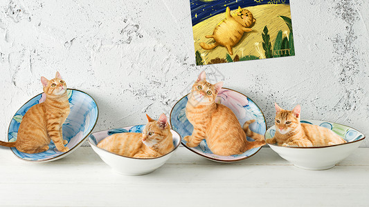 可爱的三黄猫猫咪一家设计图片