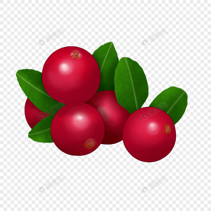 五个蔓越莓水果插图图片