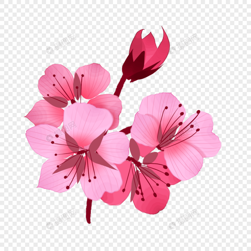 创意粉色樱花插图图片