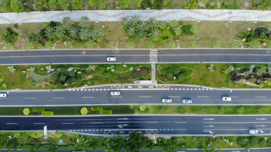 道路隔离带车流GIF高清图片