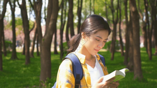 出户外登山的女生行女生户外森林看指南书籍GIF高清图片