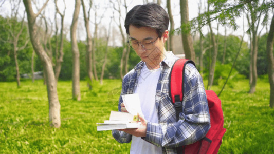 眼镜背包男青年男青年户外阅读GIF高清图片